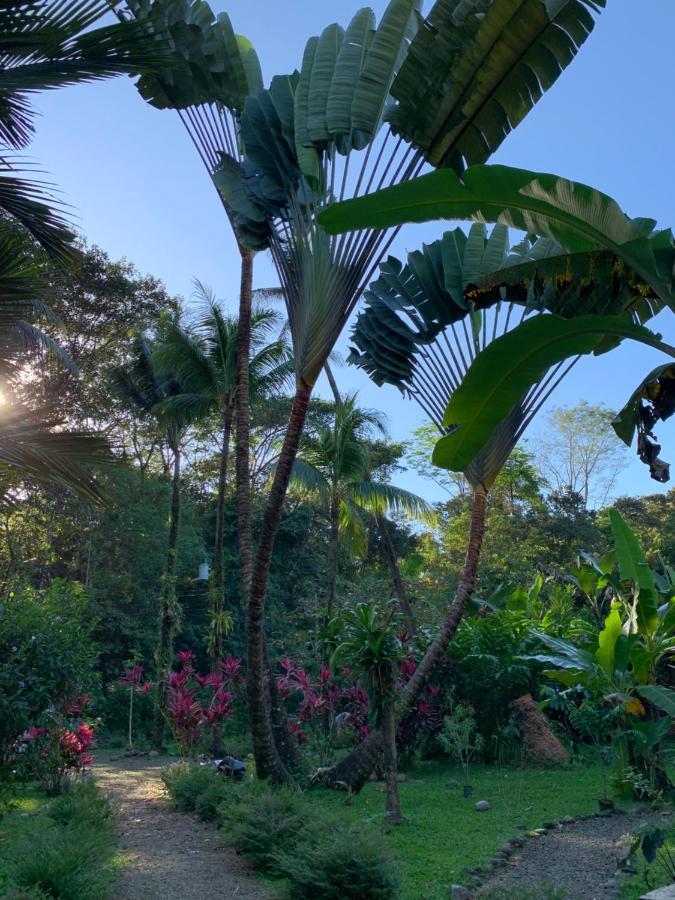 Cabinas Coco Lindo Ойокал Екстер'єр фото